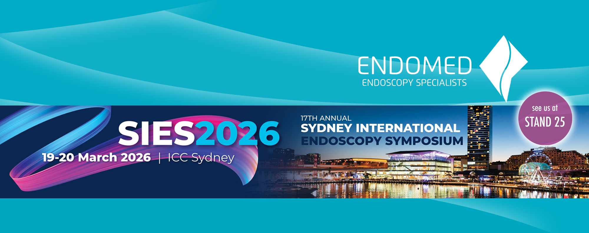 SIES 2026 kite banner